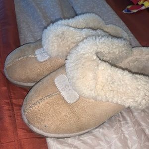 Ugg Slippers